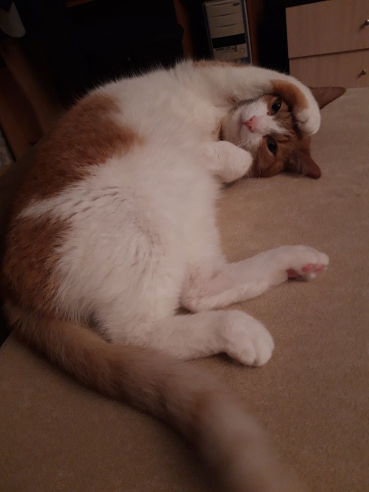 Фотография автора Виталий Дузь