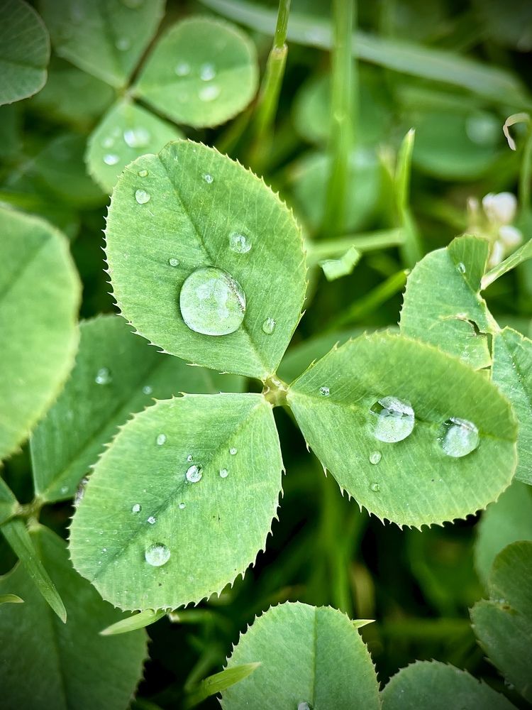 Photograph by Алла Чуракова