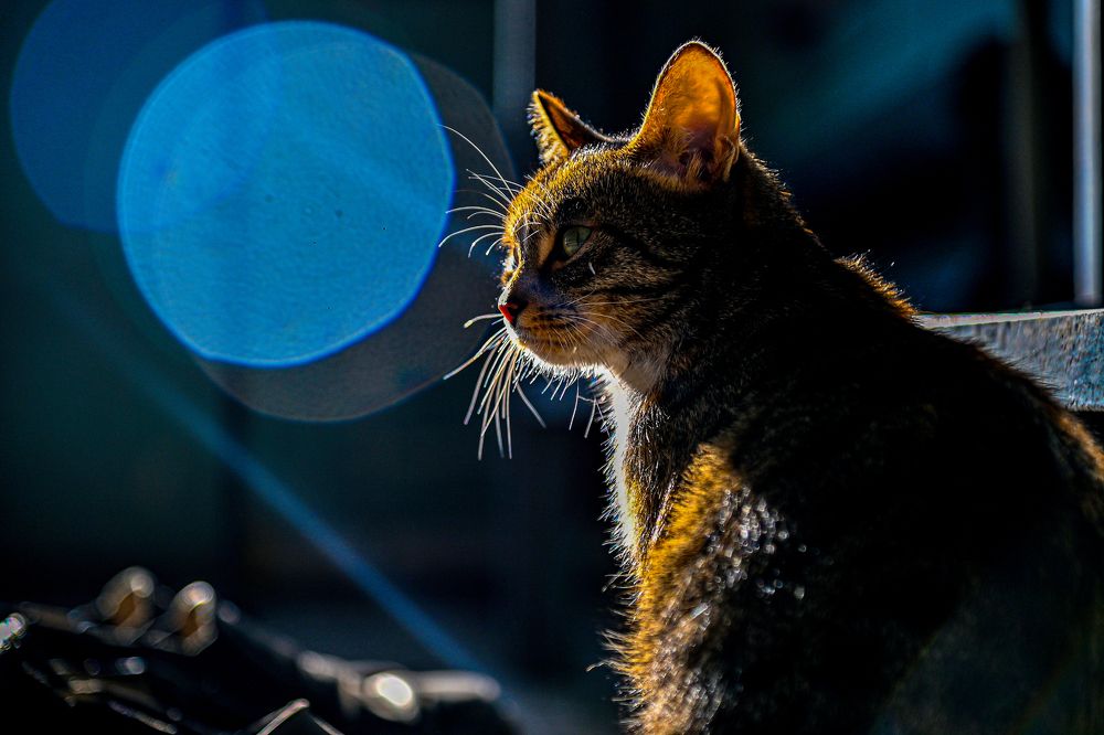 Пожарная Маруся - всегда на страже!