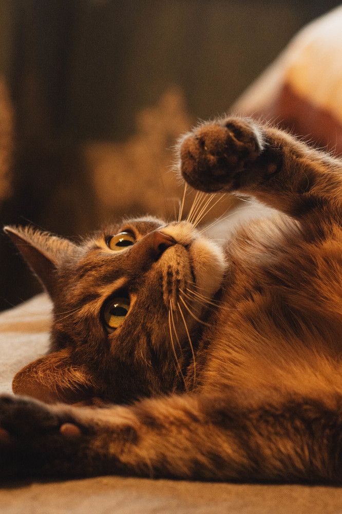 Photograph by Андрей Гусаров