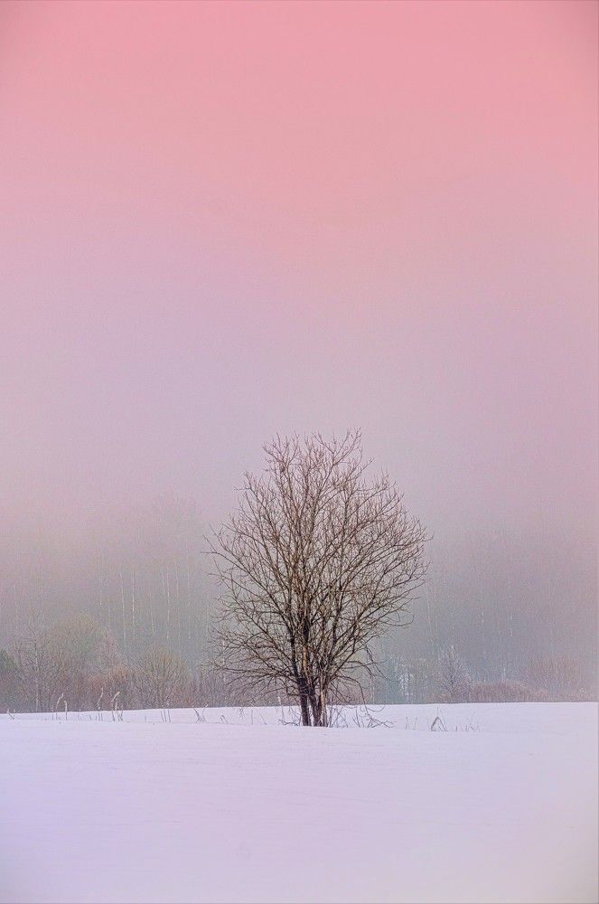 Photograph by Олег Менакер