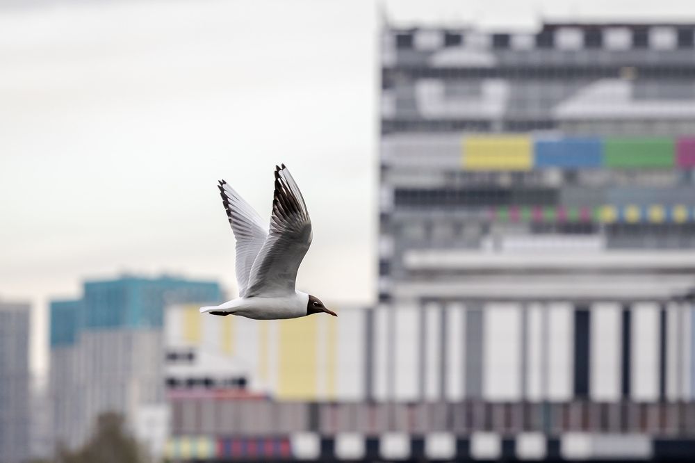 Photograph by Владимир Охрименко