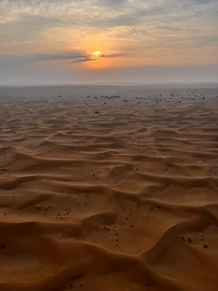 Фотография автора Ирина Мосько