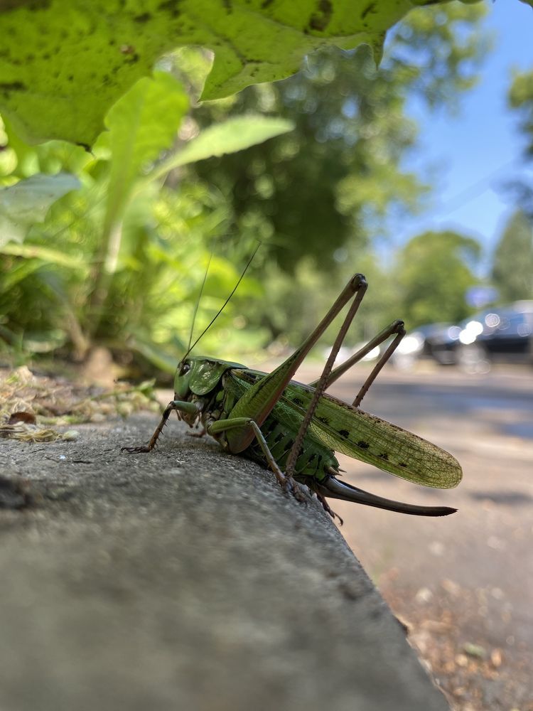 Photograph by Андрей Романов