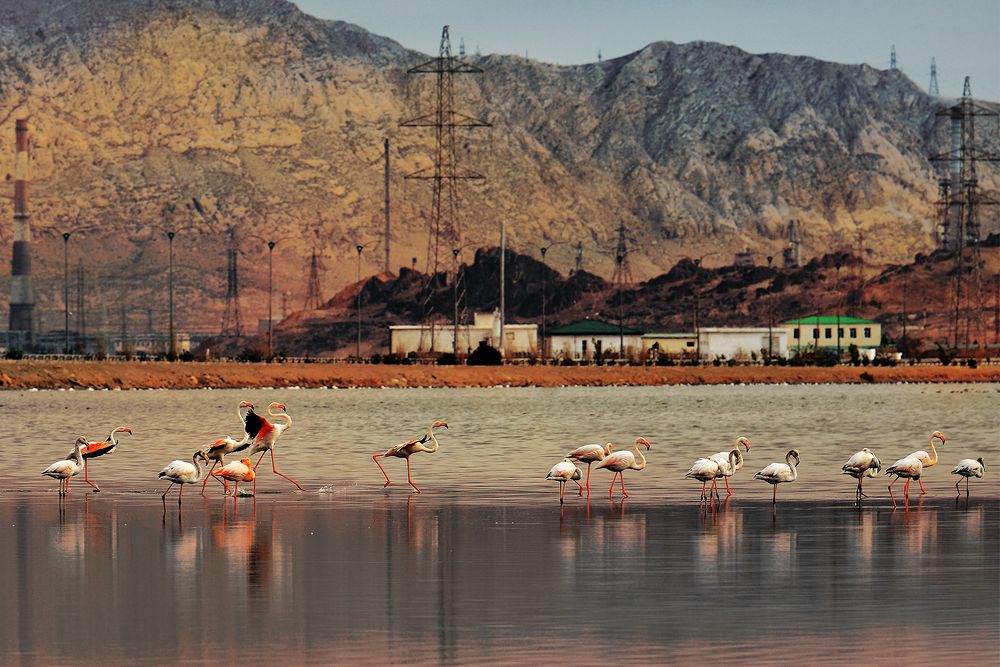 Фотография автора Игорь Ломов