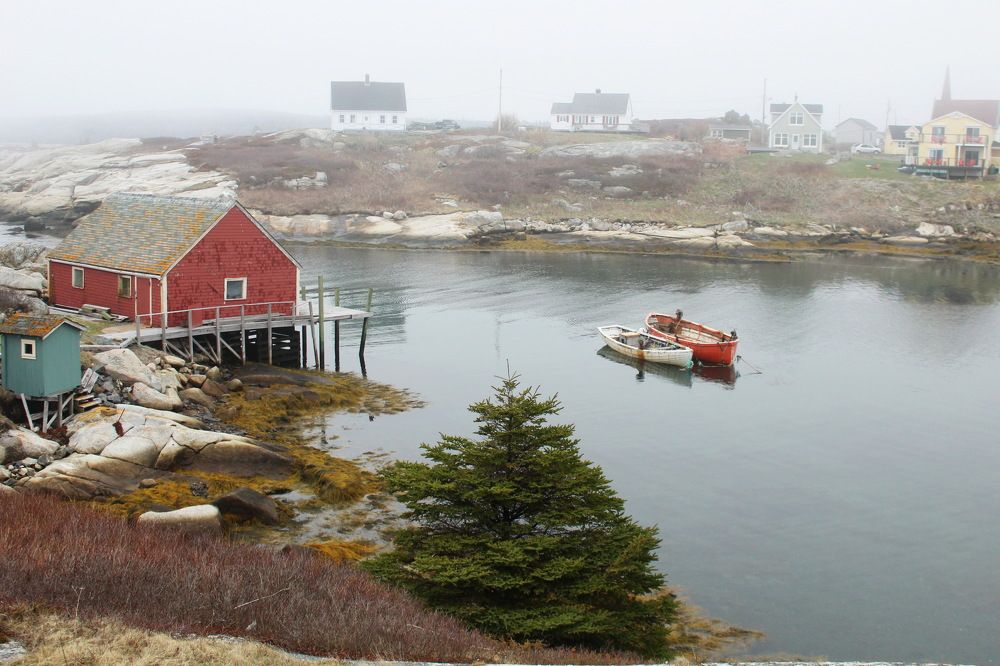 Туманное утро