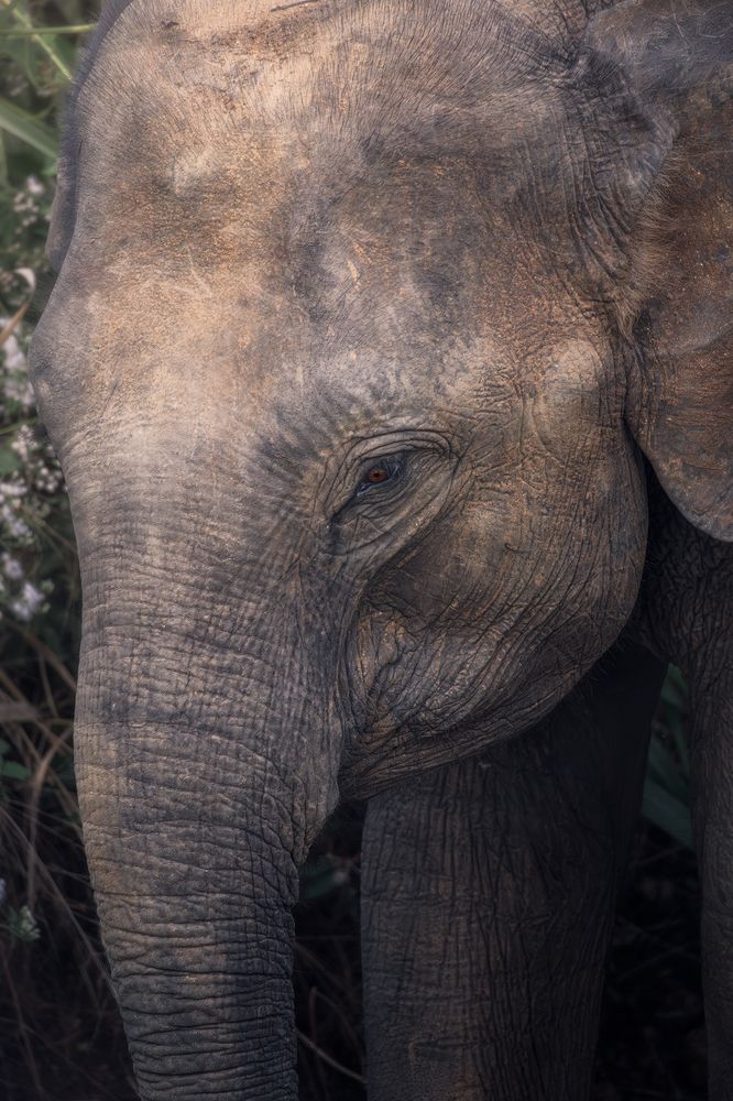 Photograph by Domenico Marrano