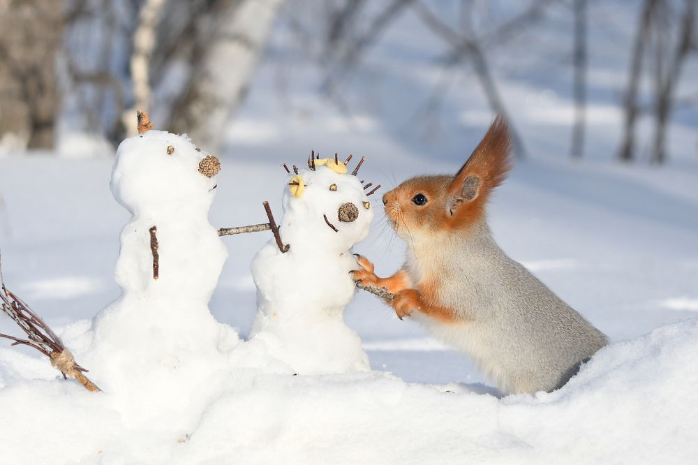 Душевный разговор