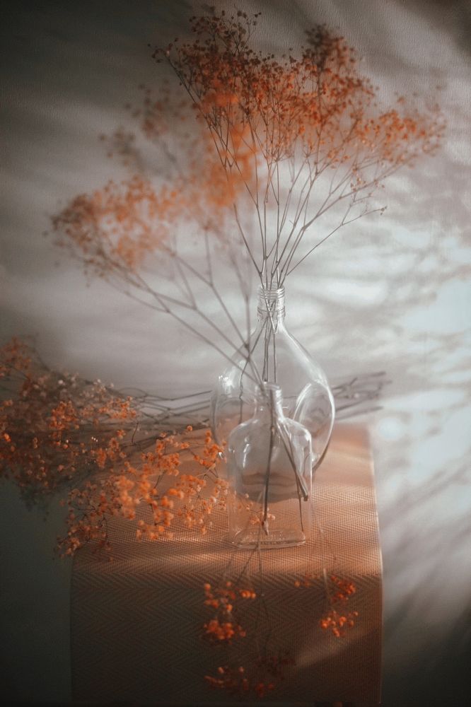 Photograph by Татьяна Максакова