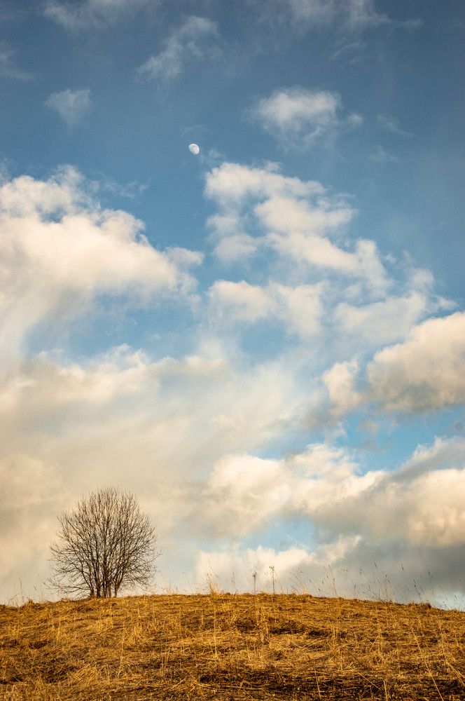 Photograph by Олег Менакер