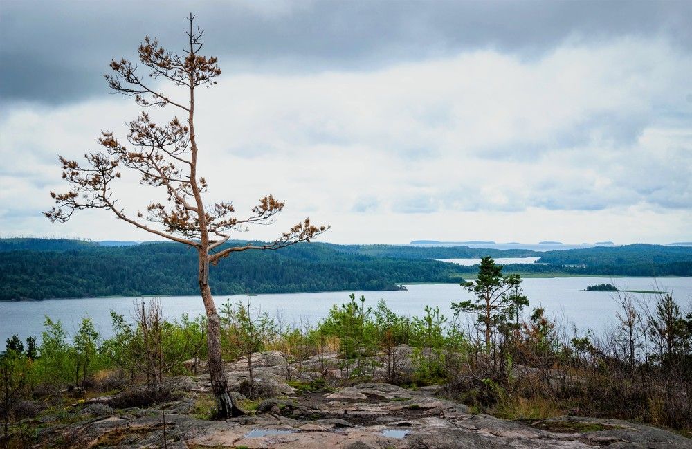 Photograph by Олег Менакер