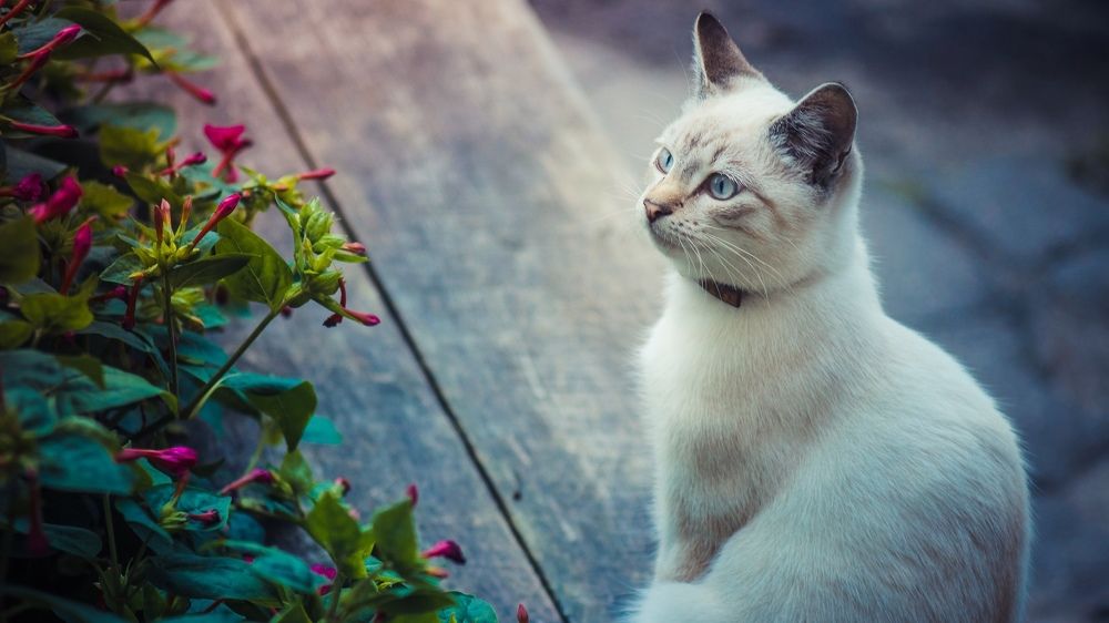 Photograph by Дмитрий Королёв