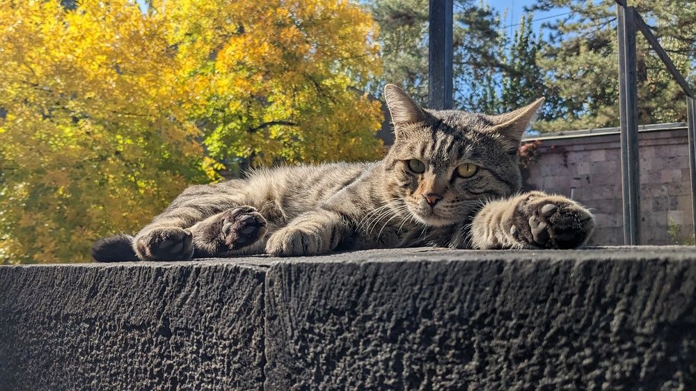 Photograph by Lilit Petrosyan