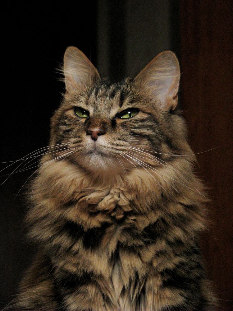 Photograph by smirnova sofya