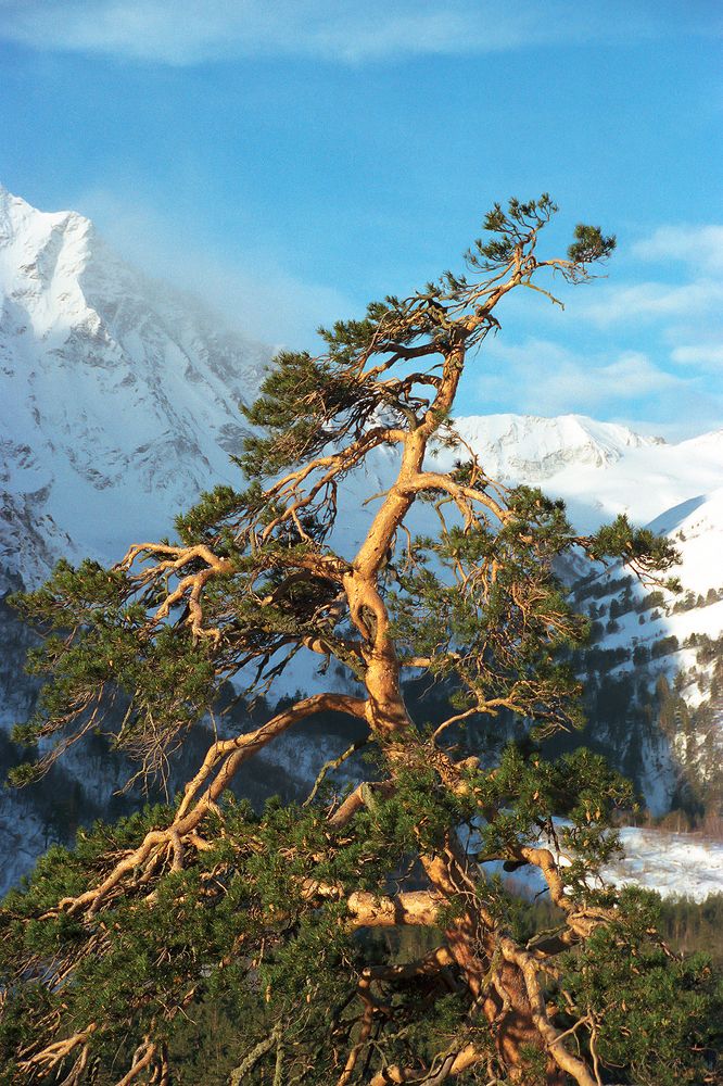 Photograph by Пешков Валерий