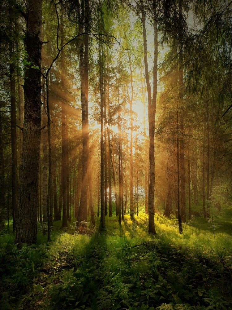 Photograph by Олег Менакер