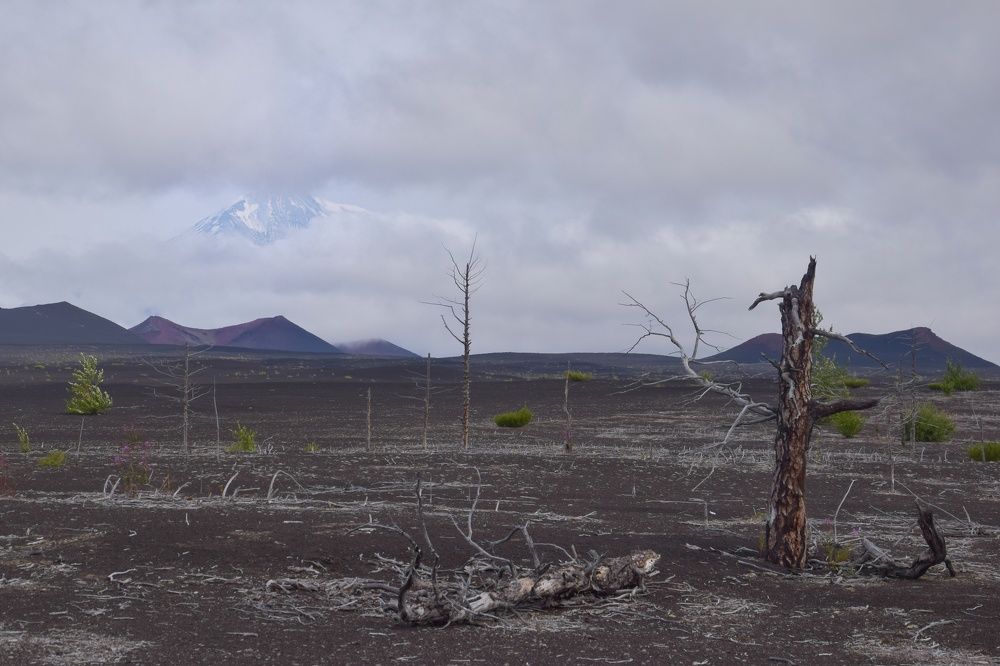 Photograph by smirnova sofya