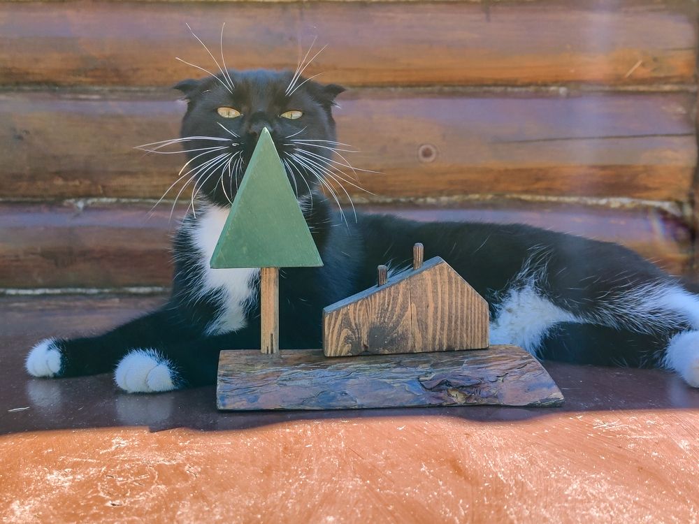 Photograph by Рина Хуртова