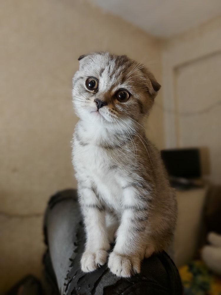 Photograph by Елена Кирикова