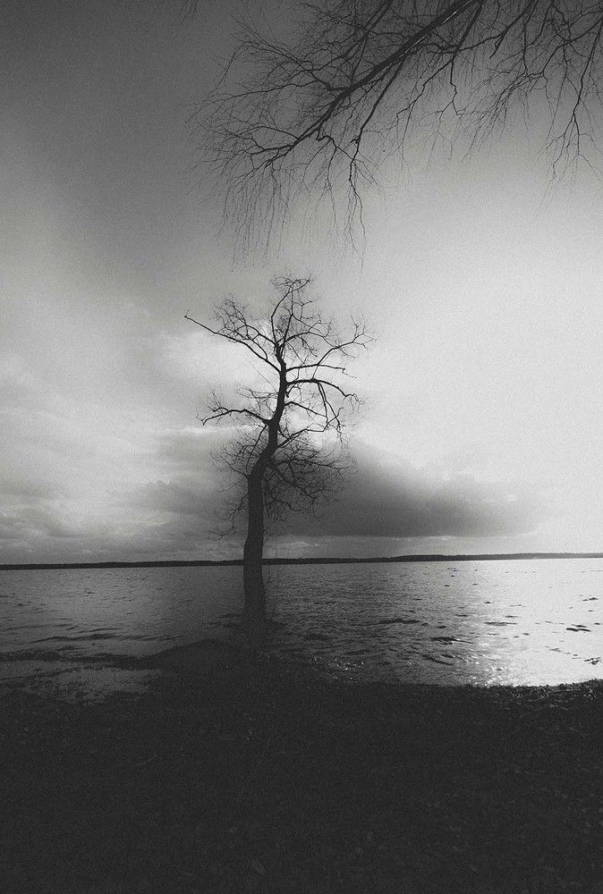 Photograph by Елена Пасажицкая