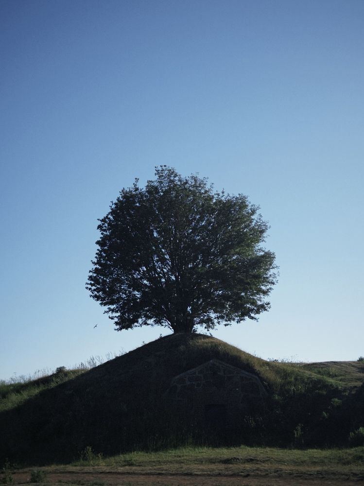 Photograph by Komarovskaya