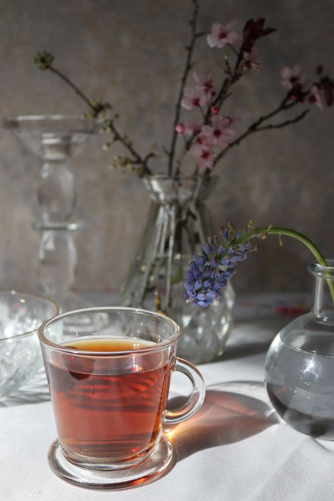 Фотография автора Victoria Vaigant