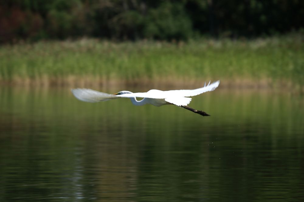 Photograph by Артур Крематорин