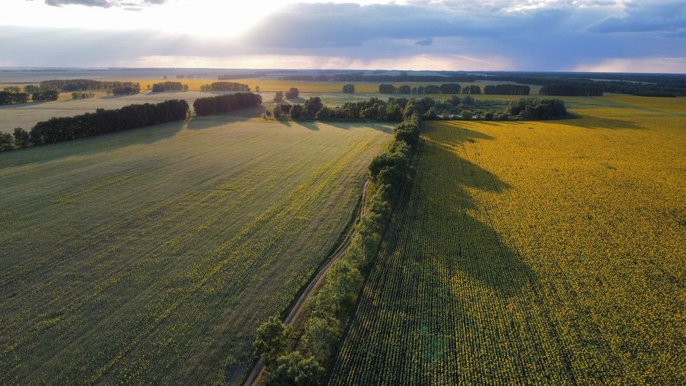 Photograph by Артур Крематорин