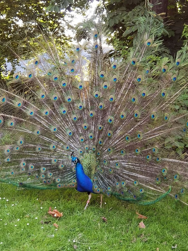 Фотография автора Victoria Vaigant