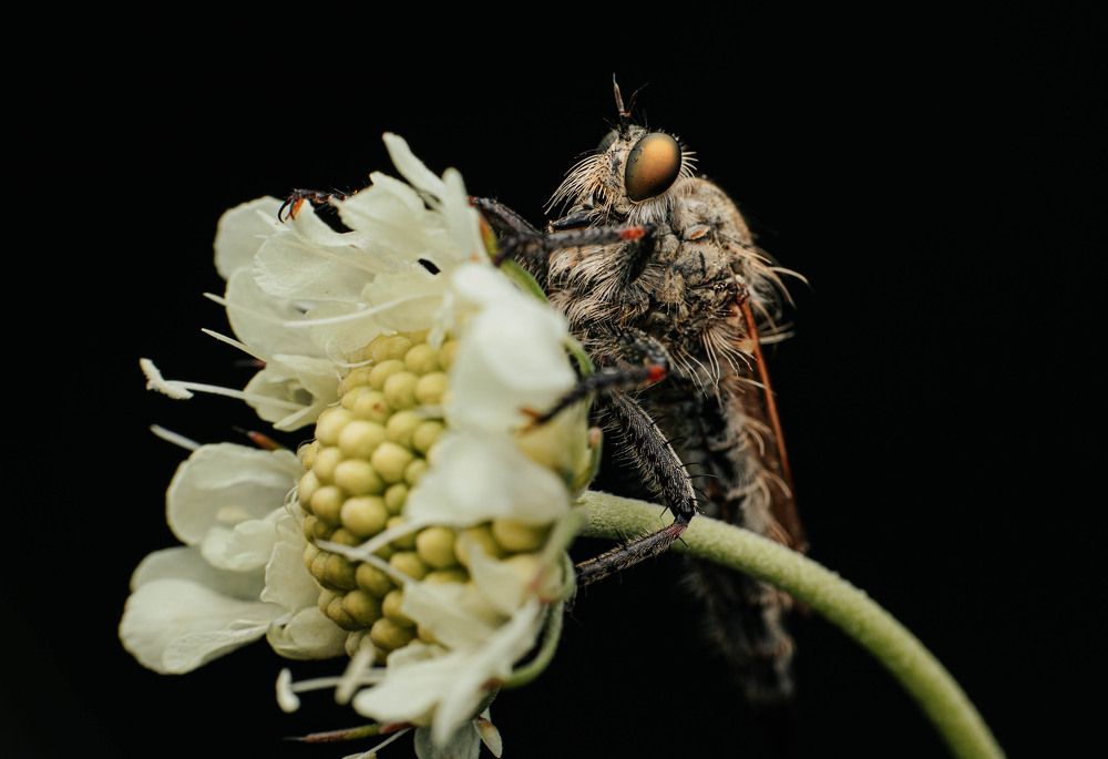 Фотография автора Любовь Маслова