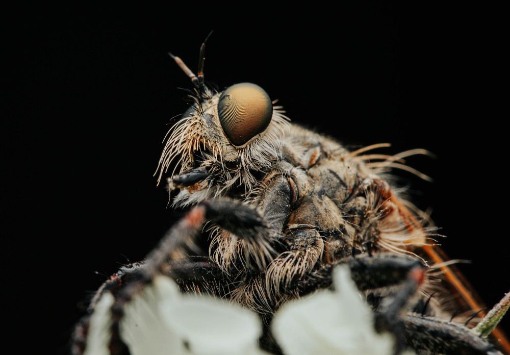 Фотография автора Любовь Маслова