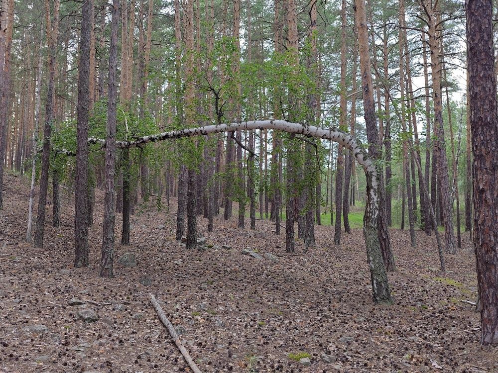 Фотография автора Сергей Ершов