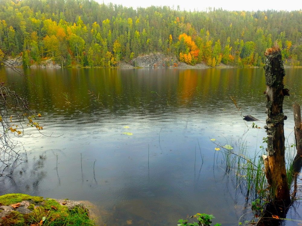 Photograph by Олег Менакер