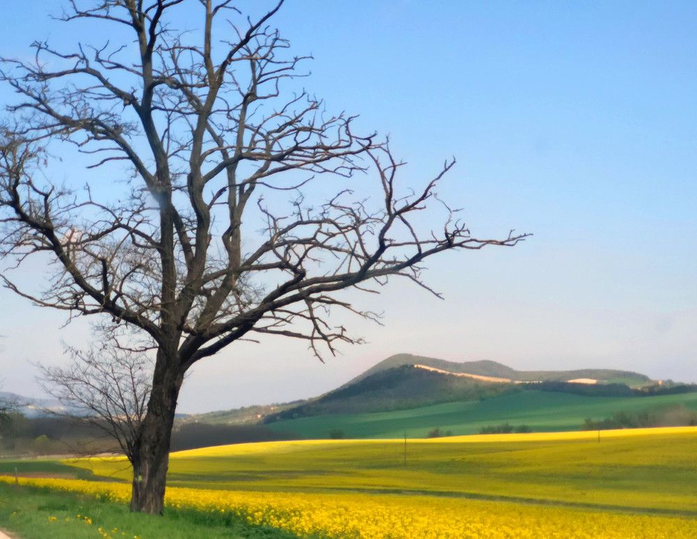 Photograph by Marina Razheva