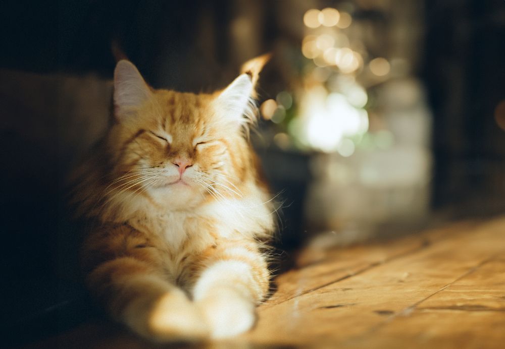 Photograph by Lyudmila Gendugova