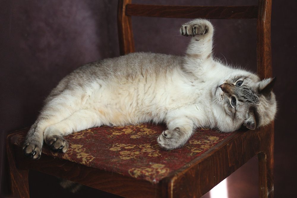 Photograph by надежда максимова