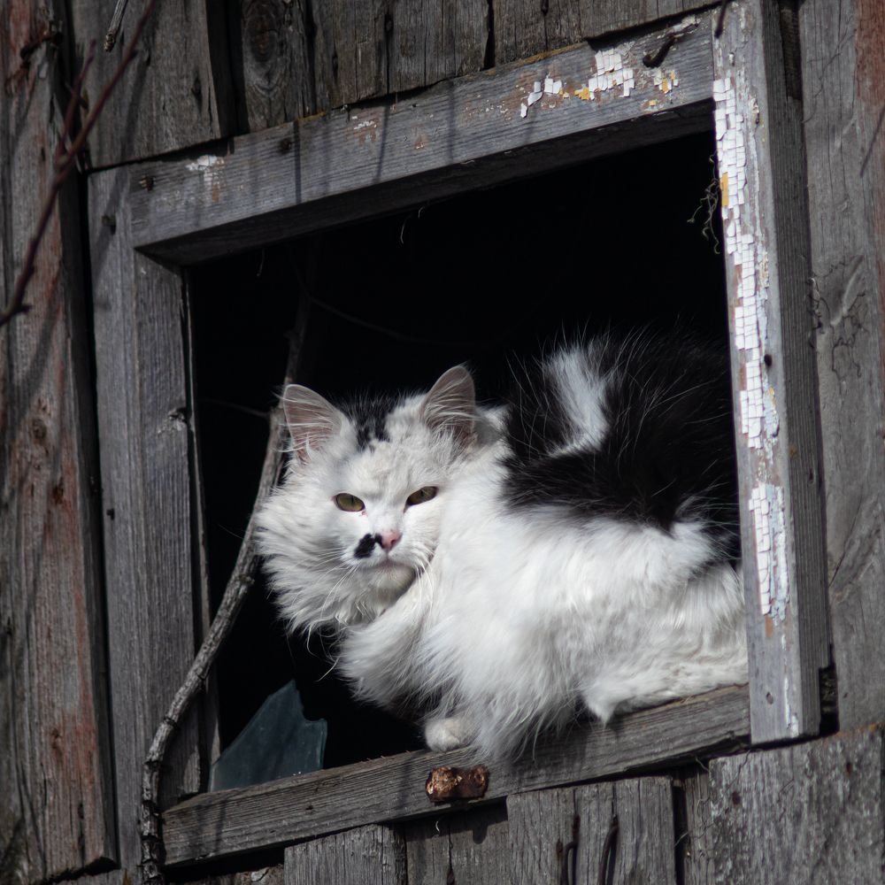 Photograph by Дмитрий Давидов