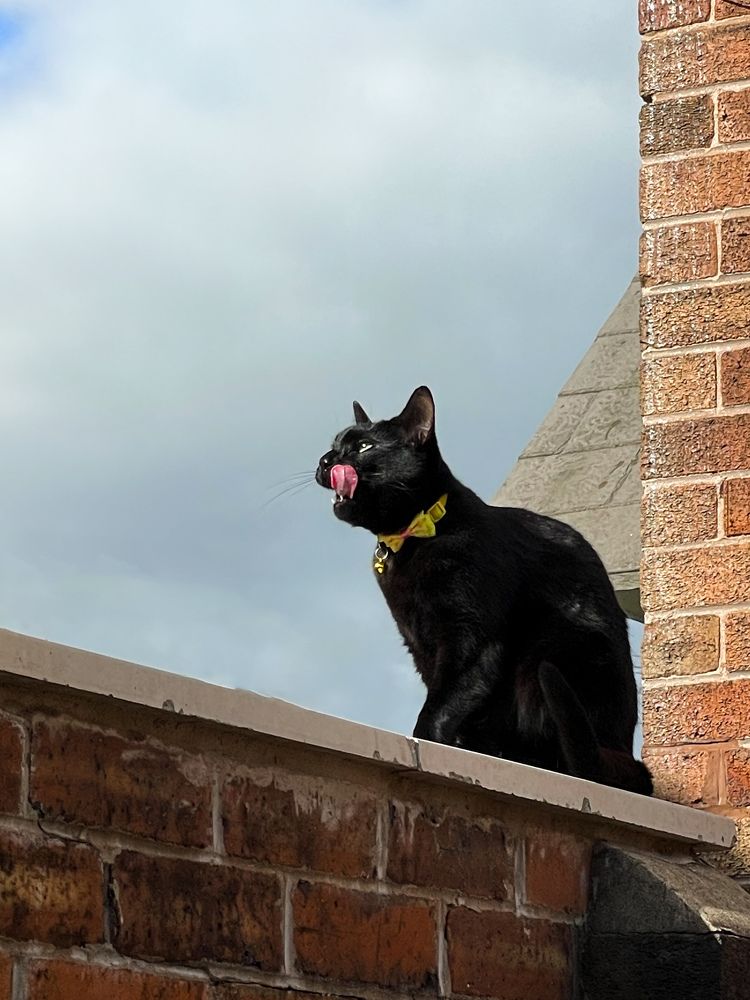 Фотография автора Jelena Bazenova