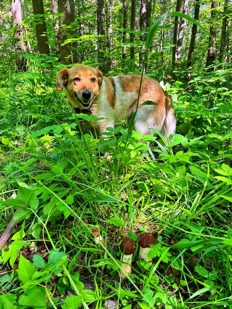 Photograph by Ирина Селиверстова