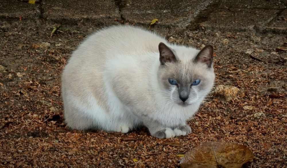 Photograph by Marie G