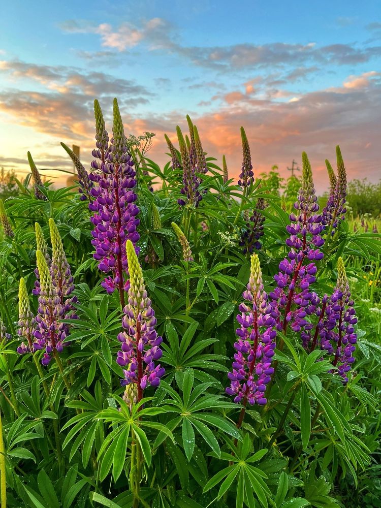 Photograph by Ирина Селиверстова