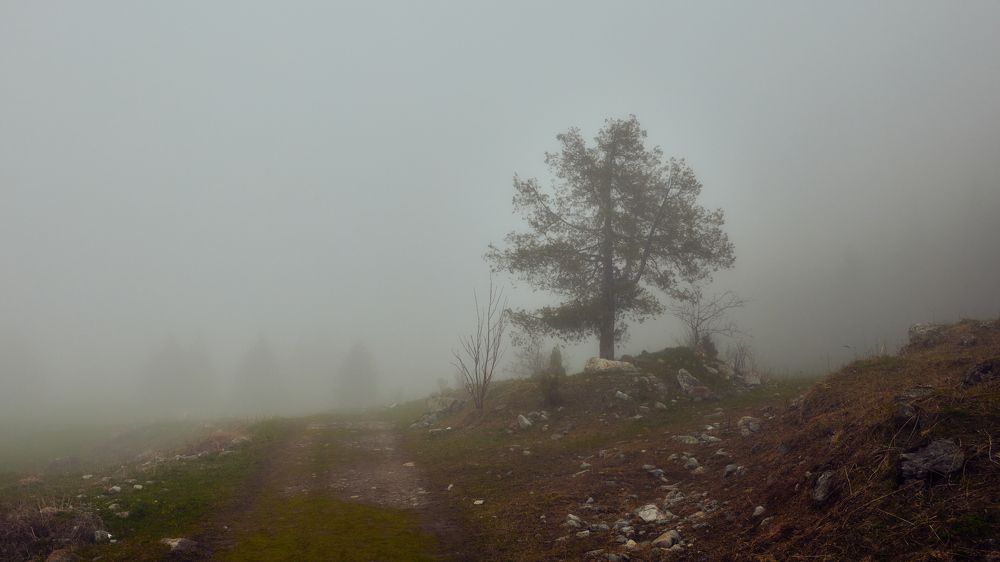 Photograph by Владислав Данилов