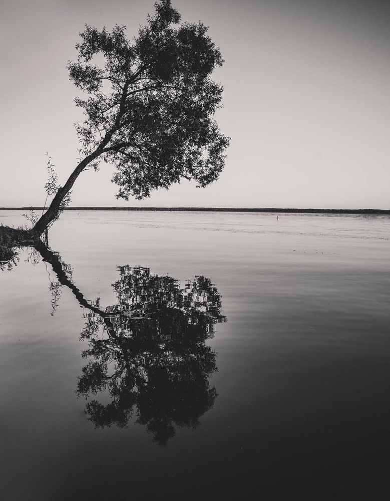 Photograph by Елена Пасажицкая