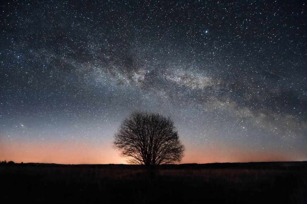 Фотография автора Lozhkin Vyacheslav