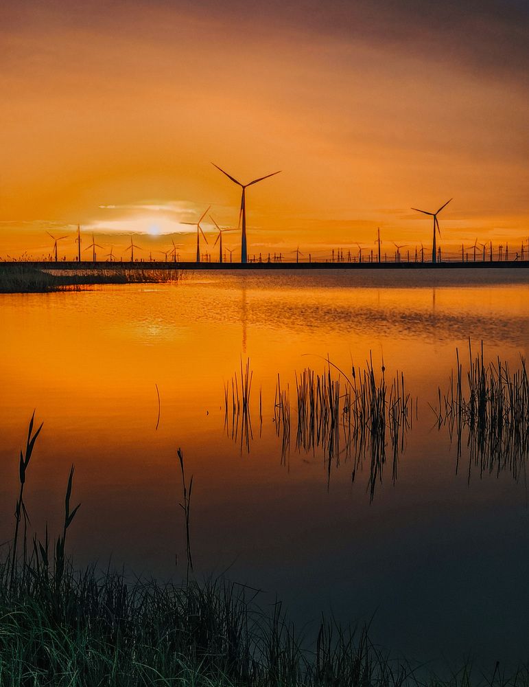 Photograph by Tatiana Alieva