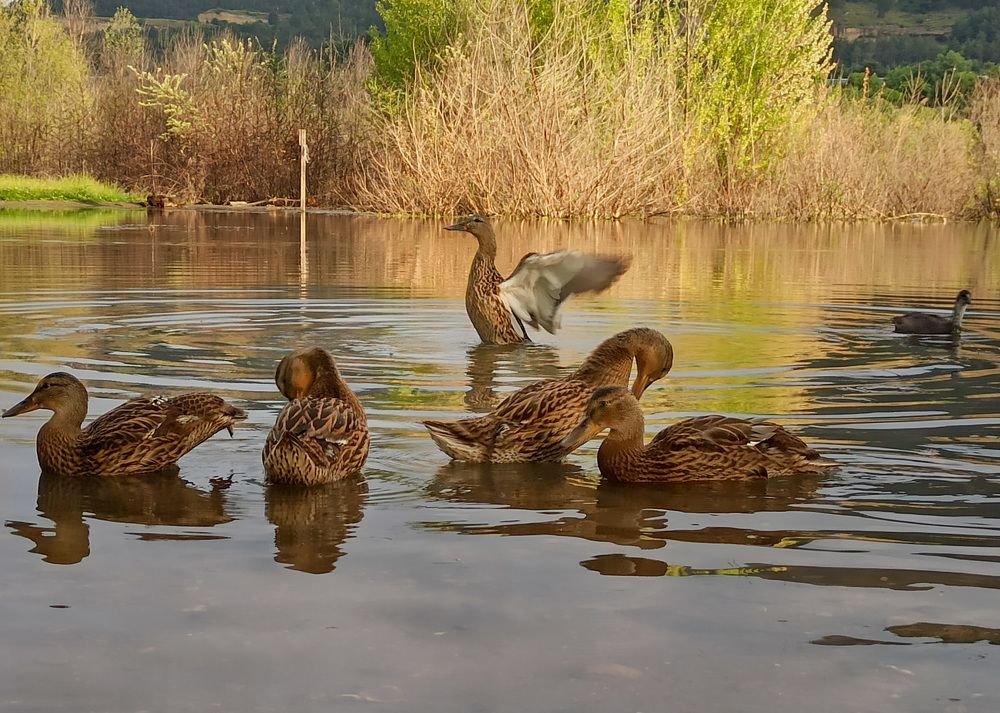 Photograph by Tatiana Alieva