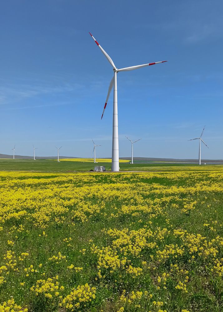 Photograph by Tatiana Alieva