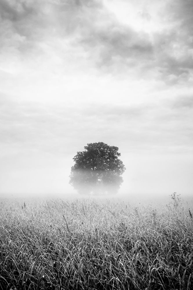 Фотография автора Lozhkin Vyacheslav