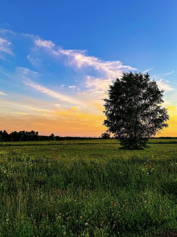 Photograph by Екатерина Слепнева