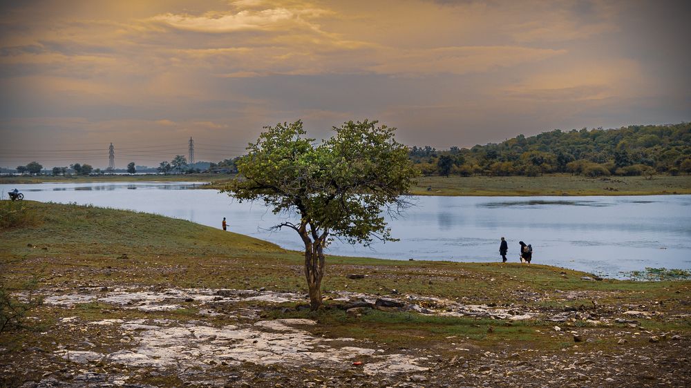 Photograph by Jimmy George